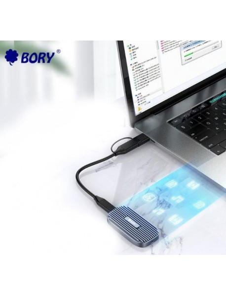 256 GB BORY SSD05- C256 HARİCİ USB3.1 560/480 SSD 